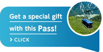 Get a special gift with this Pass! >CLICK