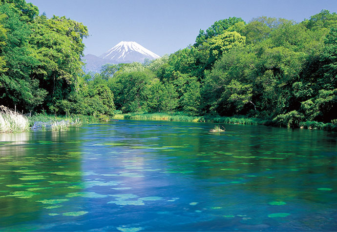 Tour to Mt. Fuji and Izu for Vegetarians